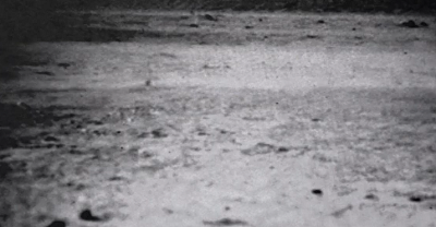 DESERT SAND - La videoarte Duccio Ricciardelli e Marco Bartolini a Villa Rondinelli a Fiesole