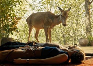 EMERAFILM - Nuovi titoli in streaming su Google Play e Prime Vide