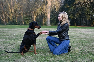 L�ISOLA DEGLI IDEALISTI - Il 20 febbraio proiezione speciale al Teatro del Popolo di Colle Val D�Elsa