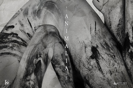 ANIMALIA - Il corto italiano allo Short Film Corner di Cannes