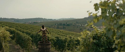 GRAPE MAESTRO - Il 5 luglio proiezione a Cannelli al Terre da Film Festival