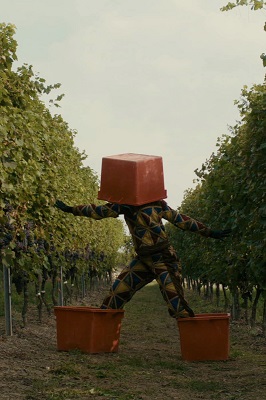 GRAPE MAESTRO - Dal 3 al 21 luglio in programmazione al Cinema delle Valli di Villar Perosa