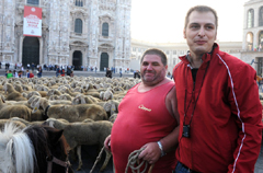Gregge di pecore in Piazza Duomo a Milano per le riprese de 