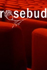 Incontri di cinema gratuiti al Rosebud di Reggio Emilia