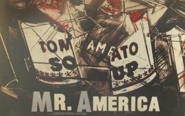 Mr. AMERICA - L'arte pop, la celebrità e la vendetta