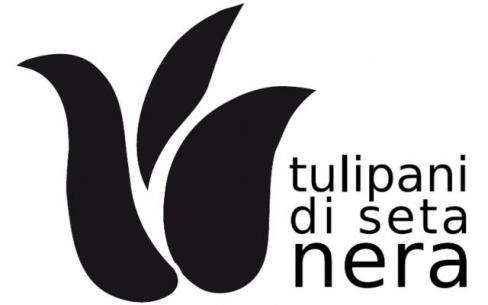 I finalisti del Festival Tulipani di Seta Nera: Un Sorriso Diverso