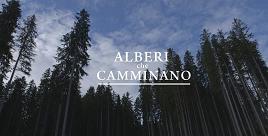 ALBERI CHE CAMMINANO - Un poetico tributo a Madre Natura