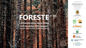 FESTIVAL DELLE FORESTE 6 - I vincitori