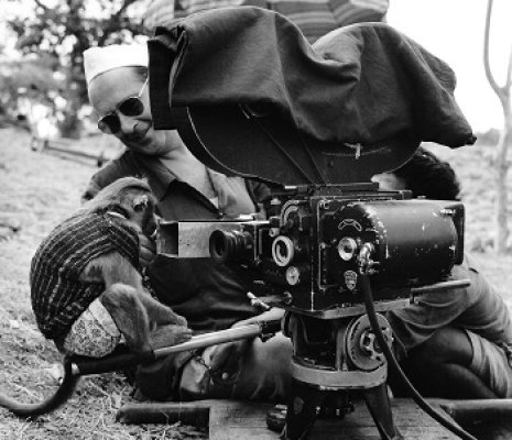FESTA DEL CINEMA DI ROMA 20 - ROBERTO ROSSELLINI. PIU