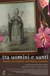 locandina di "Tra Uomini e Santi. Rituali con Bovini nell'Italia Centrale"