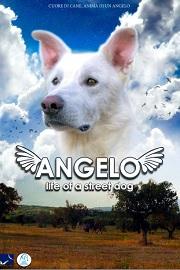 locandina di "Angelo - Life of a Street Dog"