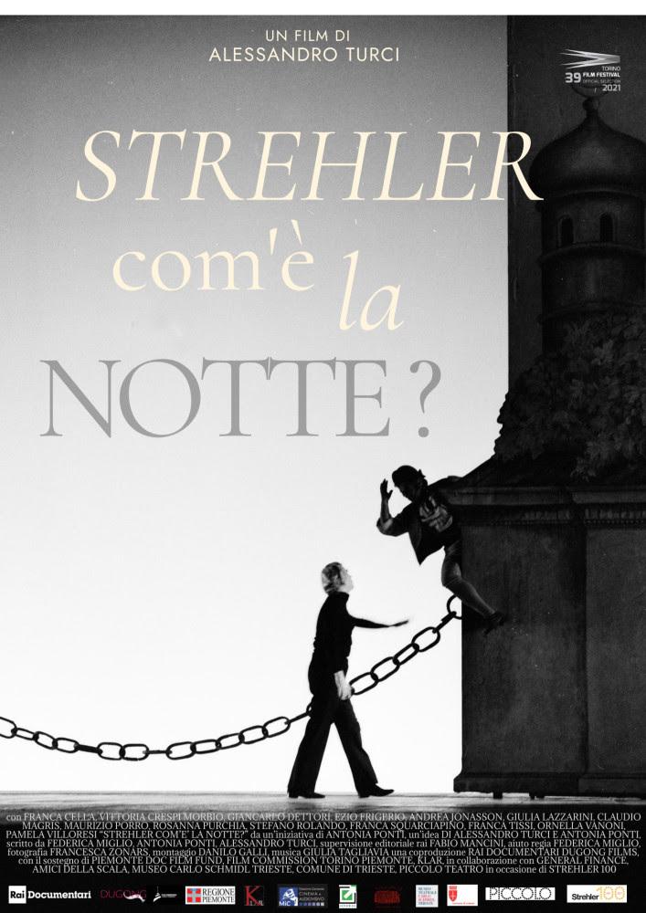 locandina di "Strehler, com'e' la Notte?"