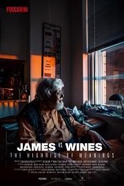 locandina di "James vs Wines - The Highrise of Meanings"