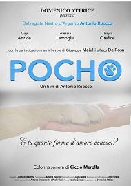 locandina di "Pocho"